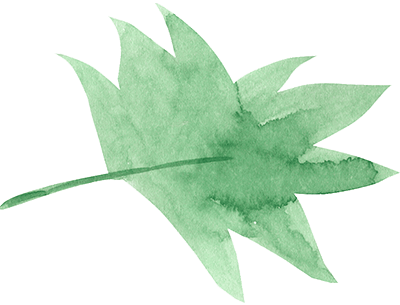 grünes Blatt
